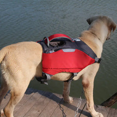 Pet Backpack Life Jackets for Safe Outdoor Adventures
