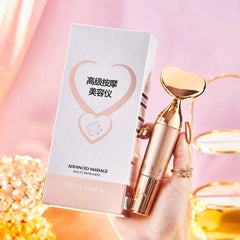 3D Lifting Electric Facial Massager Beauty Device