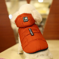 New Autumn Winter Dog Cotton Vest for Pets
