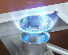 2900W Portable Outdoor Explosion Proof Gas Stove (One Unit)